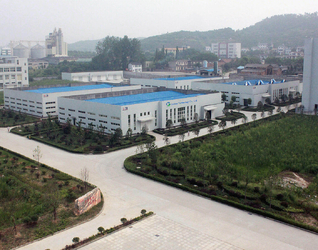 中国 Godson Technology Co., Ltd