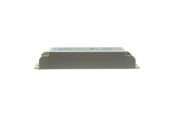 リイオン緊急電源パック インバーター 維持型 緊急電源 11-20W GS-A1125